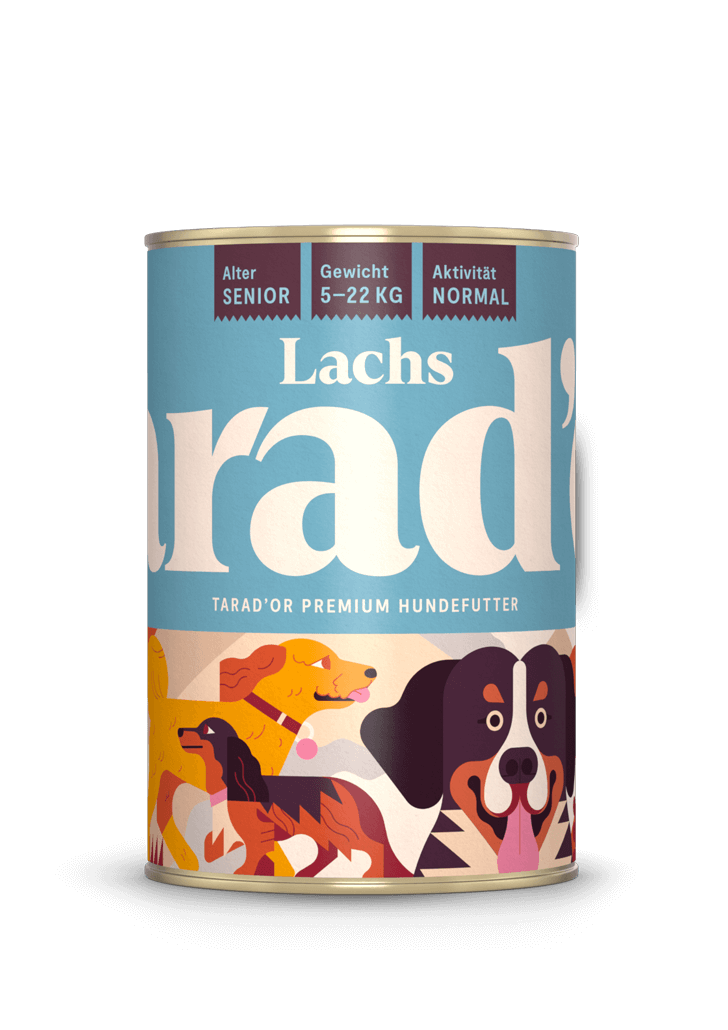 Lachs