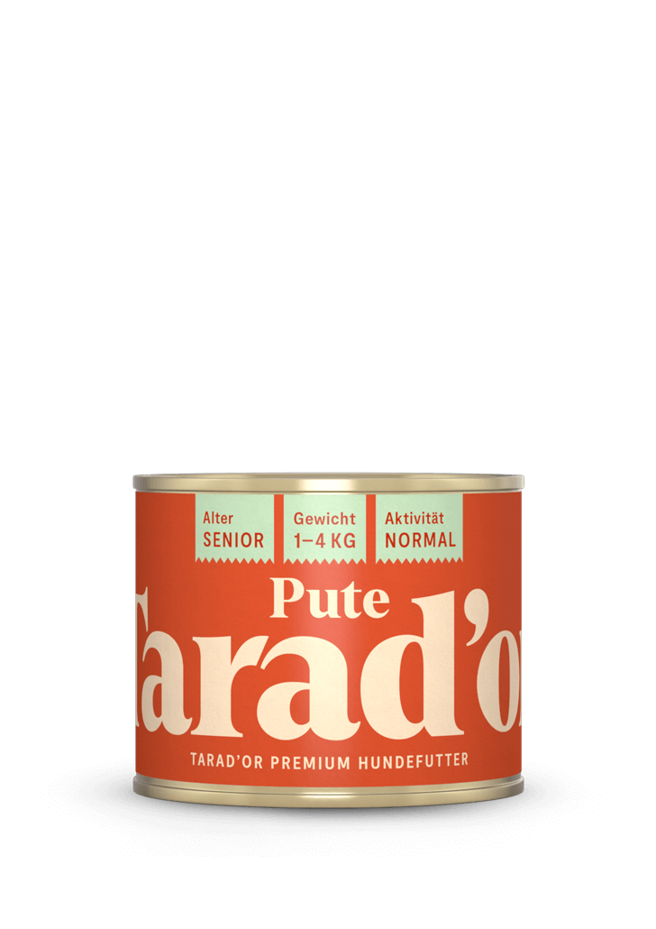 Pute