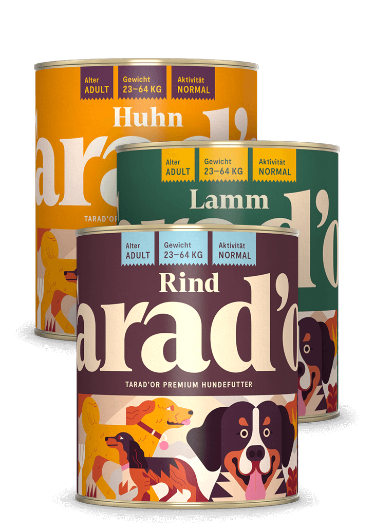 Probierpaket 800g