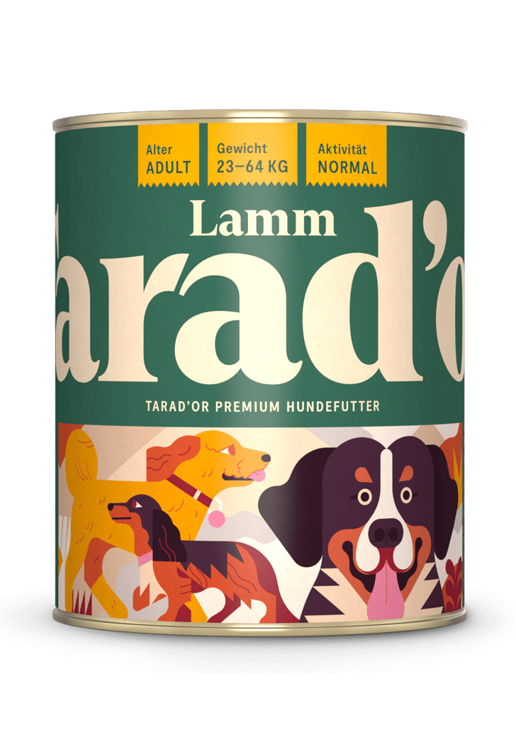 Lamm