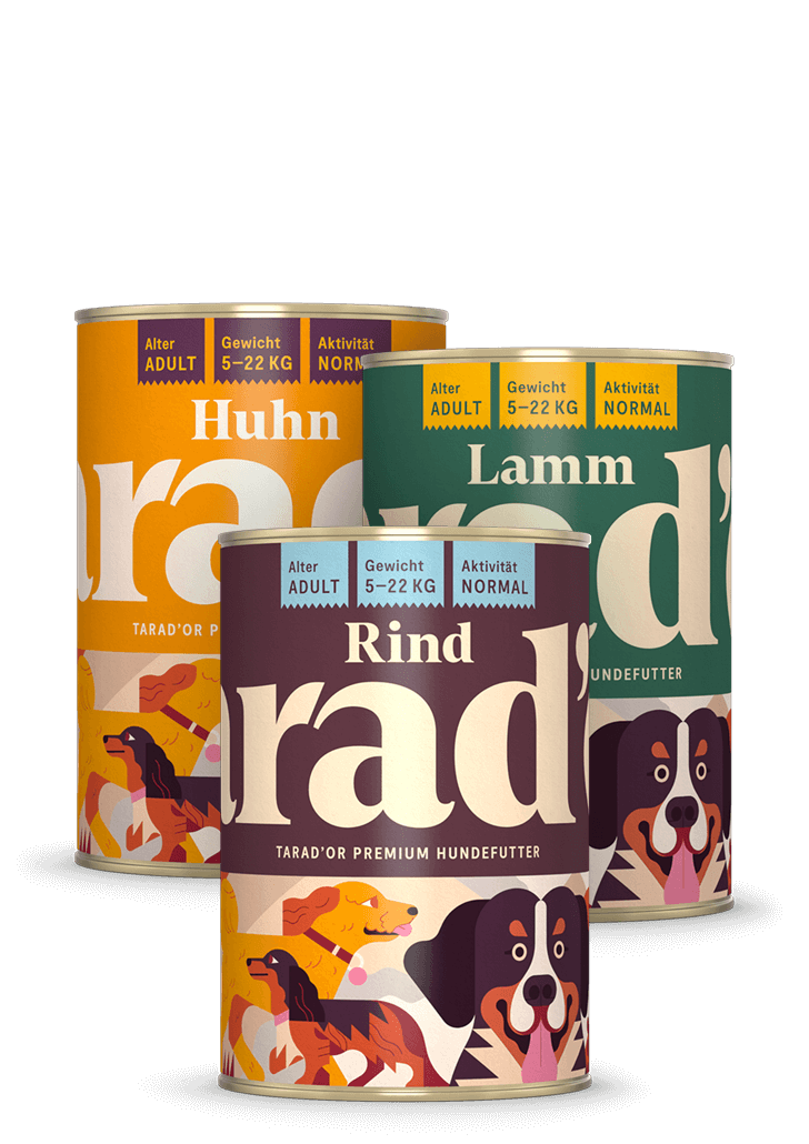 Probierpaket 400g