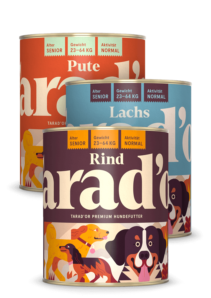 Probierpaket 800g