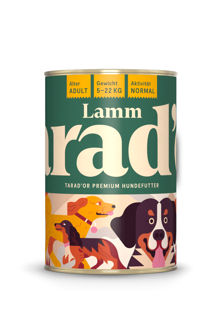 Lamm
